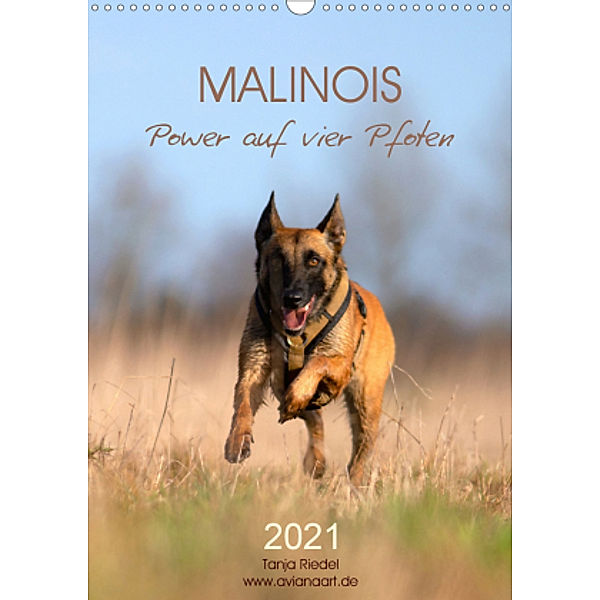 Malinois Power auf vier Pfoten (Wandkalender 2021 DIN A3 hoch), Tanja Riedel