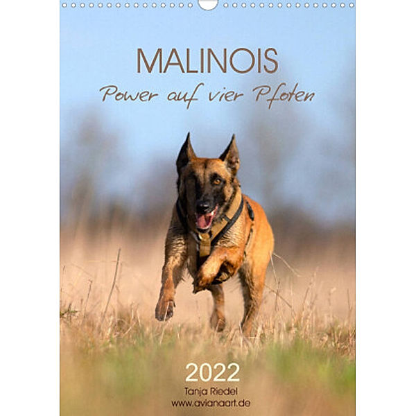 Malinois Power auf vier Pfoten (Wandkalender 2022 DIN A3 hoch), Tanja Riedel