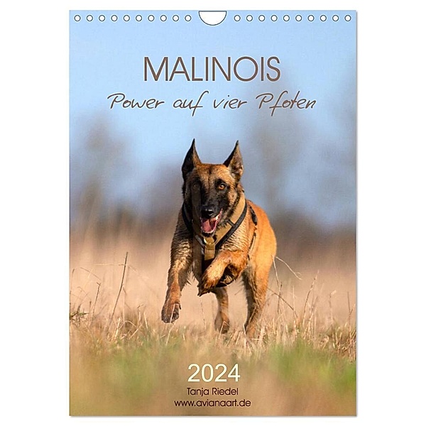 Malinois Power auf vier Pfoten (Wandkalender 2024 DIN A4 hoch), CALVENDO Monatskalender, Tanja Riedel