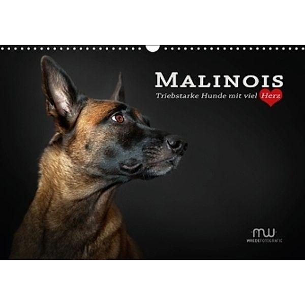 Malinois - Triebstarke Hunde mit viel Herz (Wandkalender 2016 DIN A3 quer), Martina Wrede