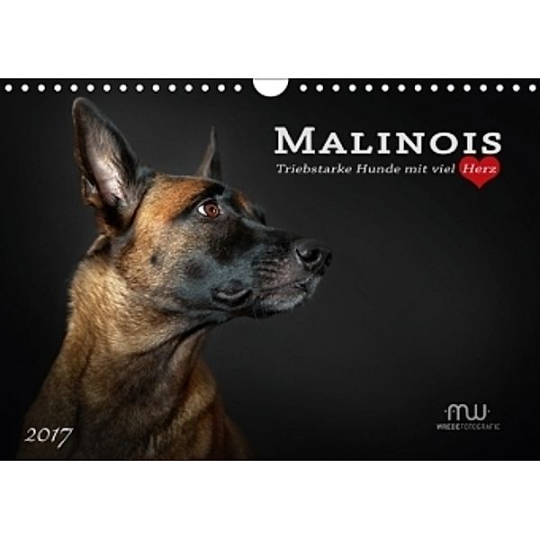 Malinois - Triebstarke Hunde mit viel Herz (Wandkalender 2017 DIN A4 quer), Martina Wrede