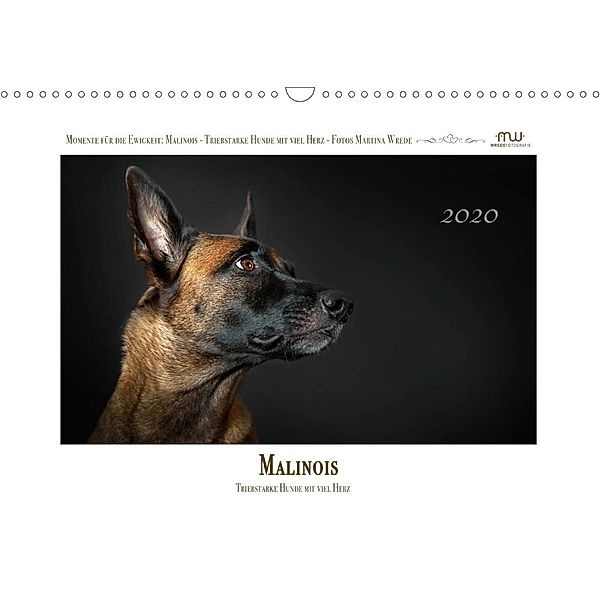 Malinois - Triebstarke Hunde mit viel Herz (Wandkalender 2020 DIN A3 quer), Martina Wrede