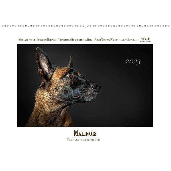 Malinois - Triebstarke Hunde mit viel Herz (Wandkalender 2023 DIN A2 quer), Martina Wrede