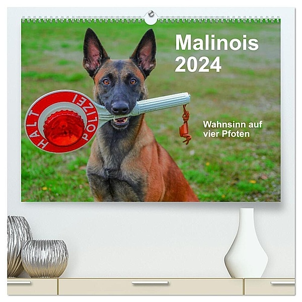 Malinois - Wahnsinn auf vier Pfoten (hochwertiger Premium Wandkalender 2024 DIN A2 quer), Kunstdruck in Hochglanz, Alexander Trocha
