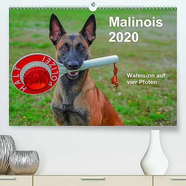 Malinois - Wahnsinn auf vier Pfoten (Premium, hochwertiger DIN A2 Wandkalender 2020, Kunstdruck in Hochglanz), Alexander Trocha