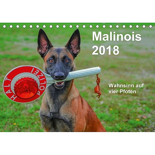 Malinois - Wahnsinn auf vier Pfoten (Tischkalender 2018 DIN A5 quer), Alexander Trocha