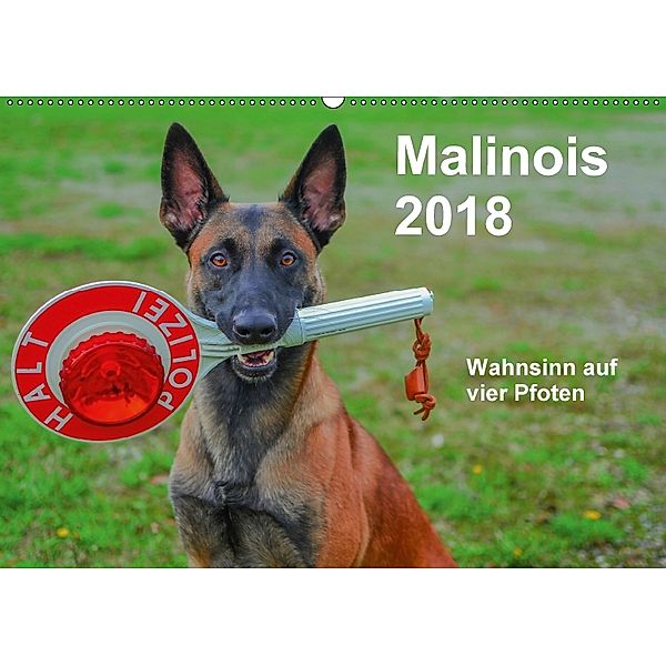 Malinois - Wahnsinn auf vier Pfoten (Wandkalender 2018 DIN A2 quer), Alexander Trocha
