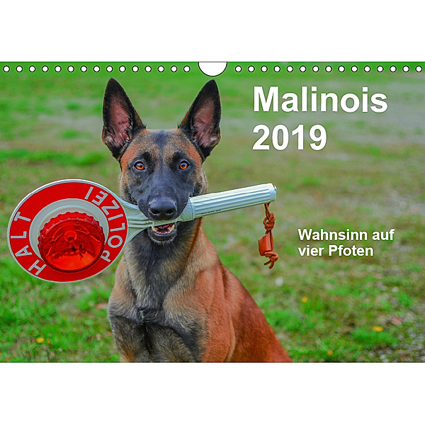 Malinois - Wahnsinn auf vier Pfoten (Wandkalender 2019 DIN A4 quer), Alexander Trocha