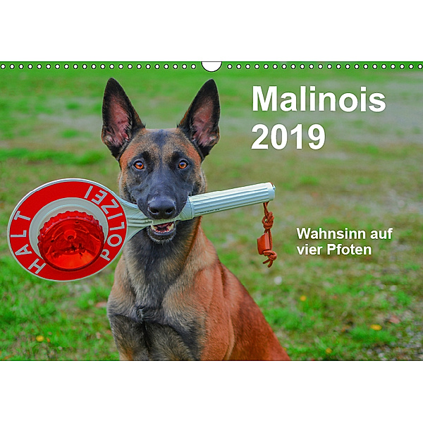 Malinois - Wahnsinn auf vier Pfoten (Wandkalender 2019 DIN A3 quer), Alexander Trocha