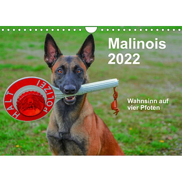Malinois - Wahnsinn auf vier Pfoten (Wandkalender 2022 DIN A4 quer), Alexander Trocha