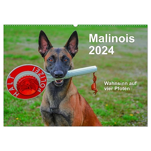 Malinois - Wahnsinn auf vier Pfoten (Wandkalender 2024 DIN A2 quer), CALVENDO Monatskalender, Alexander Trocha