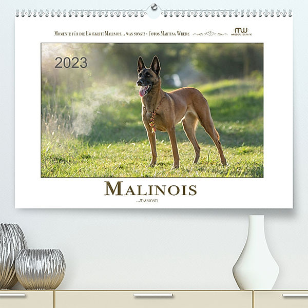 Malinois... was sonst! (Premium, hochwertiger DIN A2 Wandkalender 2023, Kunstdruck in Hochglanz), Martina Wrede - Wredefotografie