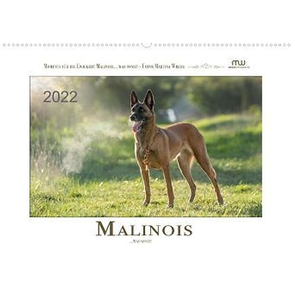Malinois... was sonst! (Wandkalender 2022 DIN A2 quer), Martina Wrede - Wredefotografie