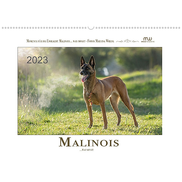 Malinois... was sonst! (Wandkalender 2023 DIN A2 quer), Martina Wrede - Wredefotografie