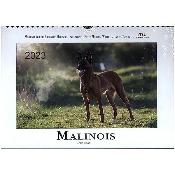 Malinois... was sonst! (Wandkalender 2023 DIN A4 quer), Martina Wrede - Wredefotografie