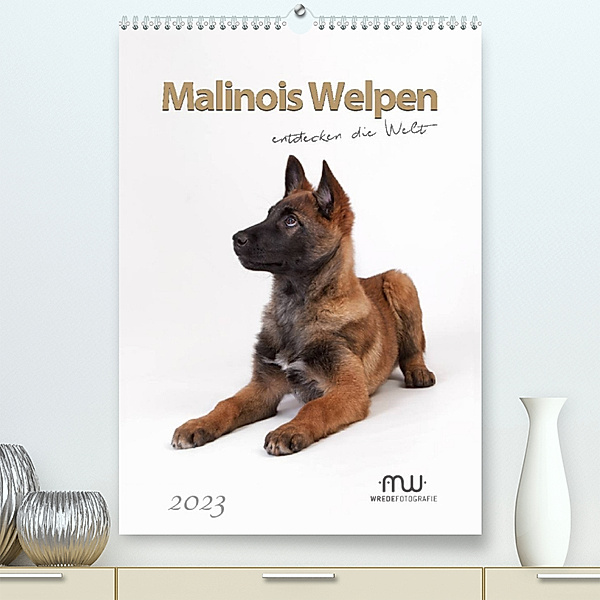 Malinois Welpen entdecken die Welt (Premium, hochwertiger DIN A2 Wandkalender 2023, Kunstdruck in Hochglanz), Martina Wrede