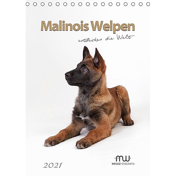 Malinois Welpen entdecken die Welt (Tischkalender 2021 DIN A5 hoch), Martina Wrede