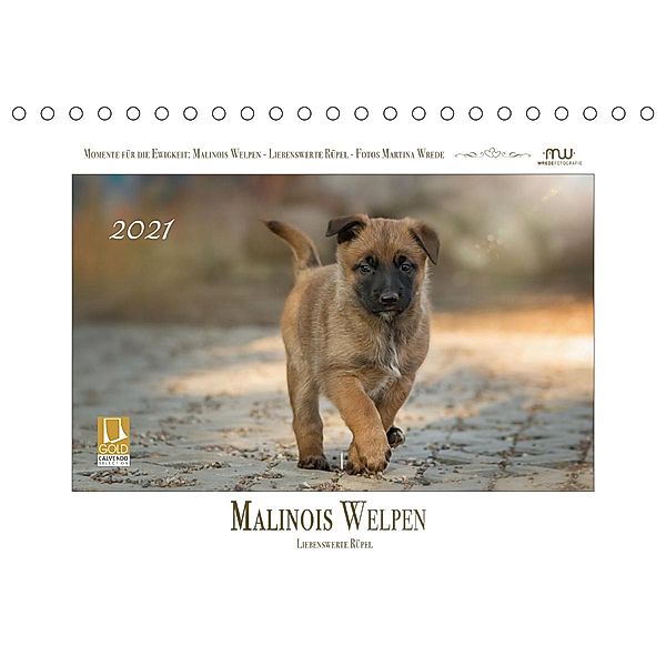 Malinois Welpen - Liebenswerte Rüpel (Tischkalender 2021 DIN A5 quer), Martina Wrede
