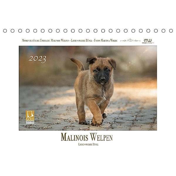 Malinois Welpen - Liebenswerte Rüpel (Tischkalender 2023 DIN A5 quer), Martina Wrede