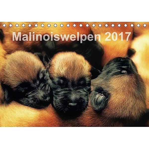 Malinoiswelpen 2017 (Tischkalender 2017 DIN A5 quer), Susanne Schwarzer