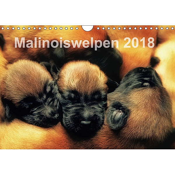 Malinoiswelpen 2018 (Wandkalender 2018 DIN A4 quer) Dieser erfolgreiche Kalender wurde dieses Jahr mit gleichen Bildern, Susanne Schwarzer
