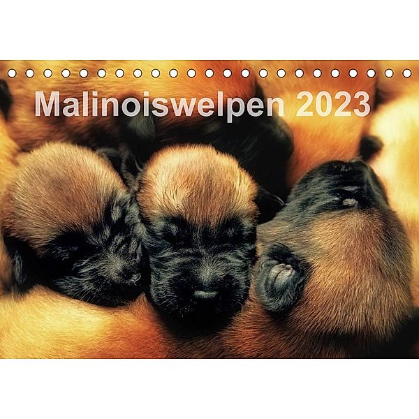 Malinoiswelpen 2023 (Tischkalender 2023 DIN A5 quer), Susanne Schwarzer