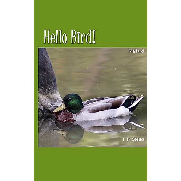 Mallard (Hello Bird!) / Hello Bird!, J. P. Steed