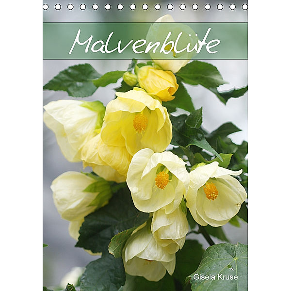 Malvenblüte (Tischkalender 2020 DIN A5 hoch), Gisela Kruse