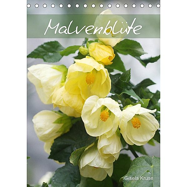 Malvenblüte (Tischkalender 2023 DIN A5 hoch), Gisela Kruse