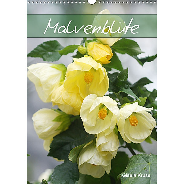 Malvenblüte (Wandkalender 2020 DIN A3 hoch), Gisela Kruse