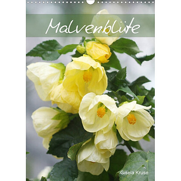 Malvenblüte (Wandkalender 2022 DIN A3 hoch), Gisela Kruse