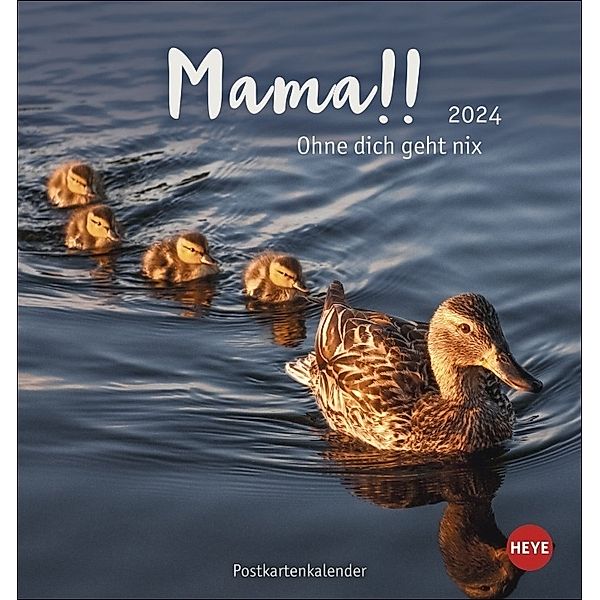 Mama! Postkartenkalender 2024. Entzückende Tier-Mütter und ihre Tierkinder in einem Tischkalender zum Aufstellen. Kalender-Postkarten zum Sammeln oder Verschicken an die Mama.