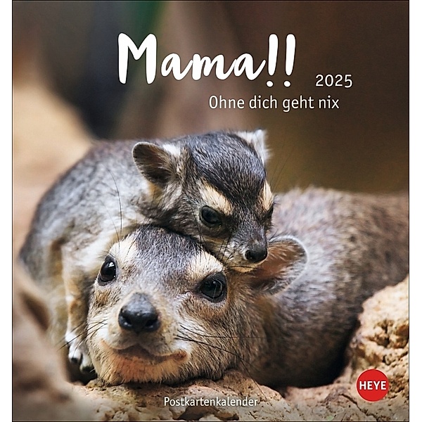 Mama! Postkartenkalender 2025 - Ohne dich geht nix!