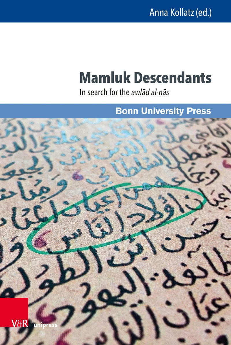 Mamluk Descendants Mamluk Studies eBook