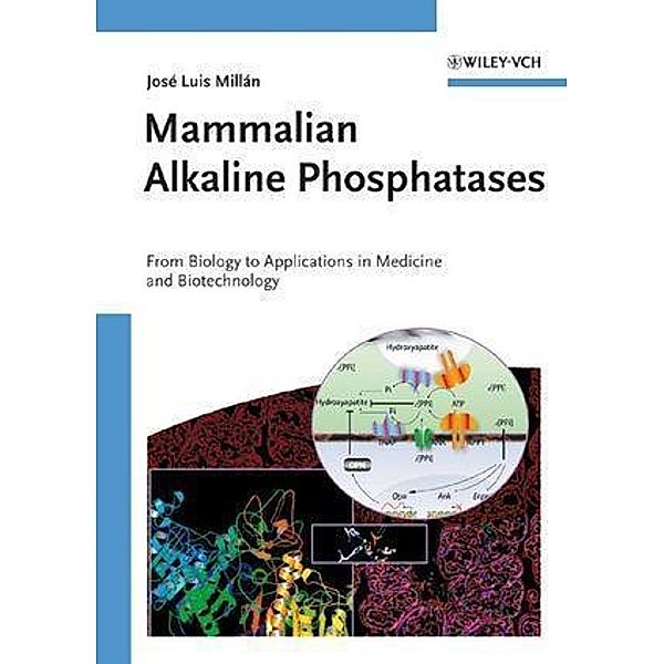 Mammalian Alkaline Phosphatases, José Luis Millan