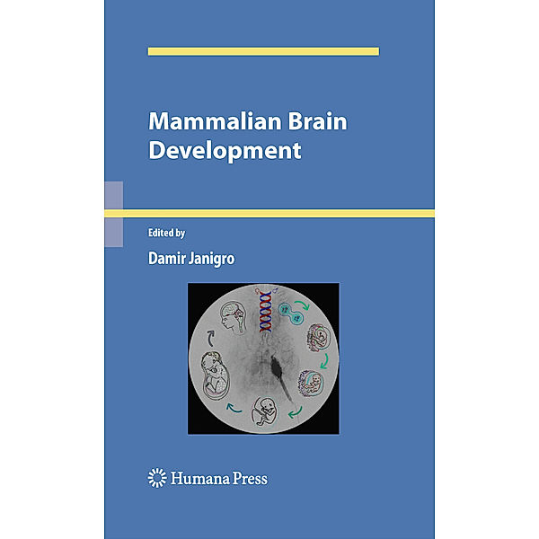 Mammalian Brain Development