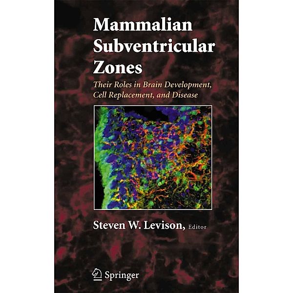 Mammalian Subventricular Zones