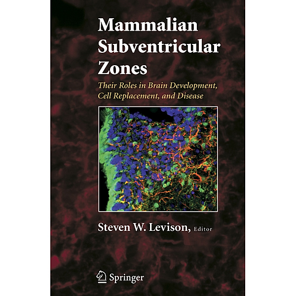 Mammalian Subventricular Zones