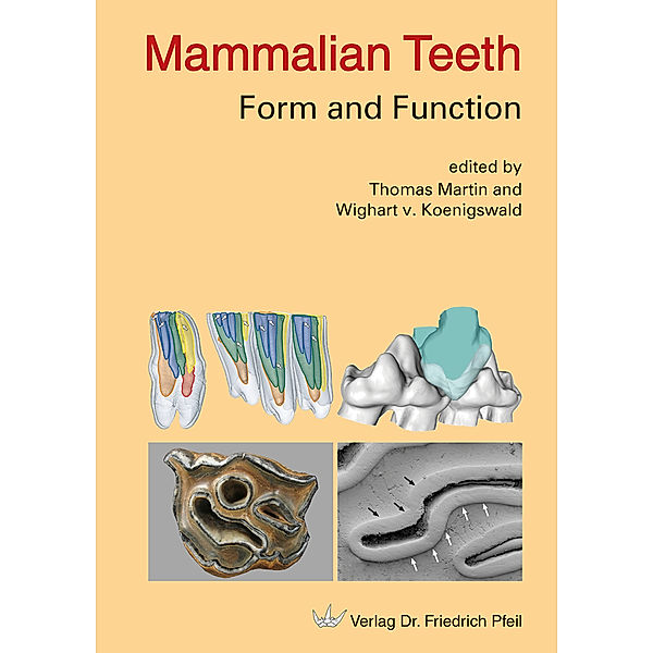 Mammalian Teeth