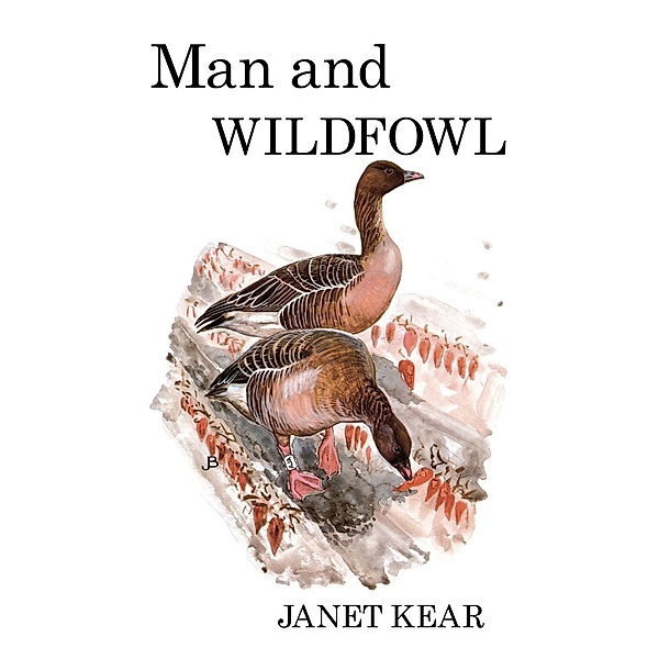 Man and Wildfowl, Janet Kear