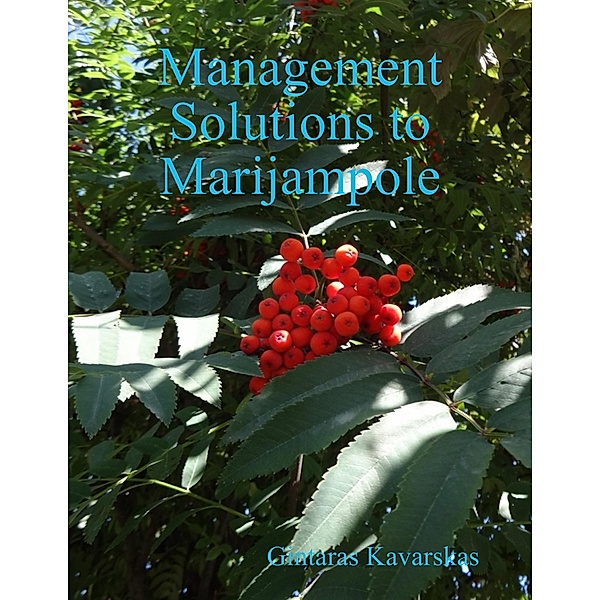 Management Solutions to Marijampole, Gintaras Kavarskas
