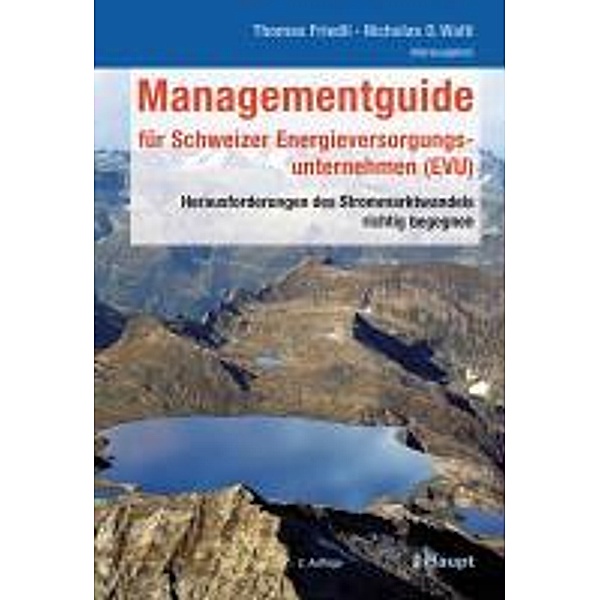 Managementguide für Schweizer Energieversorgungsunternehmen (EVU)