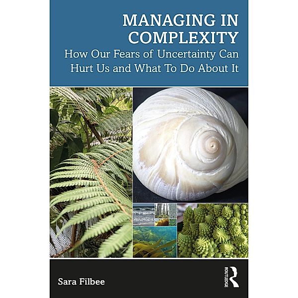 Managing in Complexity, Sara Filbee