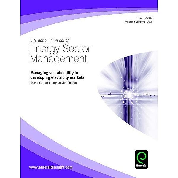 Managing Sustainability in Developing Electricity Markets