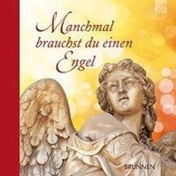 Manchmal brauchst du einen Engel, Irmtraut Fröse-Schreer