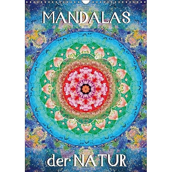 MANDALAS der Natur (Wandkalender 2017 DIN A3 hoch), ALAYA GADEH