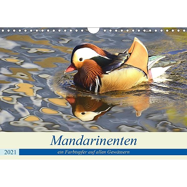 Mandarinenten, ein Farbtupfer auf allen Gewässern. (Wandkalender 2021 DIN A4 quer), Rufotos