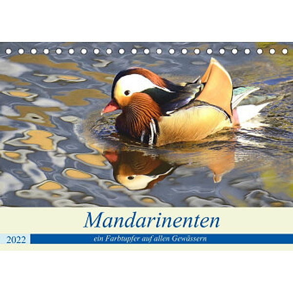 Mandarinenten, ein Farbtupfer auf allen Gewässern. (Tischkalender 2022 DIN A5 quer), Rufotos