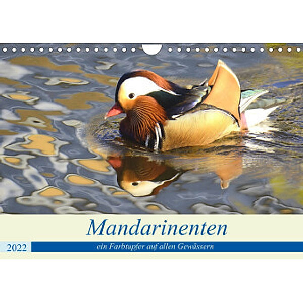 Mandarinenten, ein Farbtupfer auf allen Gewässern. (Wandkalender 2022 DIN A4 quer), Rufotos