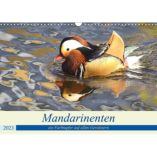 Mandarinenten, ein Farbtupfer auf allen Gewässern. (Wandkalender 2023 DIN A3 quer), Rufotos
